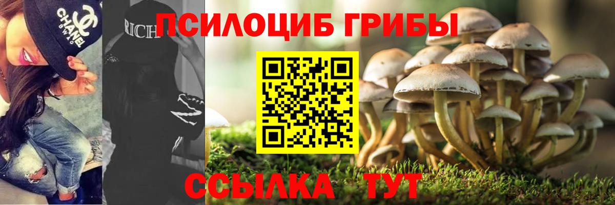 Галлюциногенные грибы ЛСД  Псилоцибиновые грибы Psilocybine cubensis  Вход с VPN  Пугачёв 